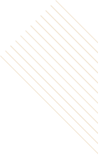Shape Decoration